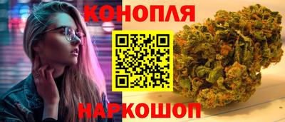 ешки Кингисепп