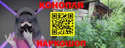 ешки Кингисепп