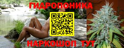 ешки Кингисепп