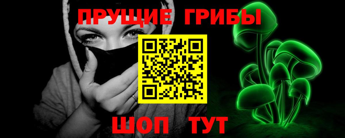 Псилоцибиновые грибы Cubensis Ярцево